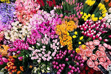 开发团队一致建议《赛博朋克2077》延期登陆次世代